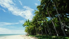 Landscapes nature Beaches