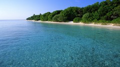 Landscapes nature Beaches