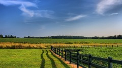 Landscapes nature Beaches