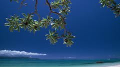 Landscapes nature Beaches