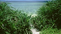 Landscapes nature Beaches