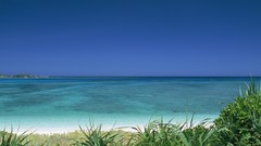 Landscapes nature Beaches