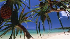 Landscapes nature Beaches