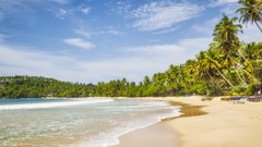 Landscapes nature Beaches kandy