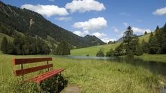 Landscapes nature bench
