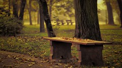 Landscapes nature bench Garden Parks