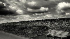 Landscapes nature bench monochrome