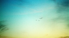 Landscapes nature Birds family portraits skyscapes