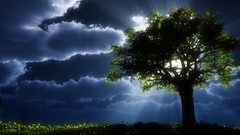 Landscapes nature Birth