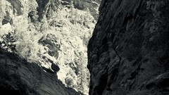 Landscapes nature black and white cliffs Zion National Park 