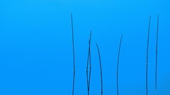 Landscapes nature blue lakes