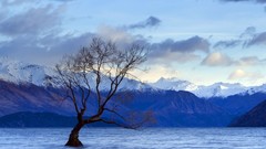 Landscapes nature blue Mountains clouds sky branches silence