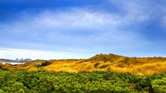 Landscapes nature blue skies