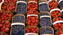 Landscapes nature blueberries strawberries market
