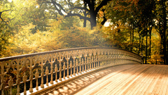Landscapes nature Bridge fall wooden