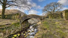 Landscapes nature Bridges