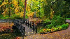 Landscapes nature Bridges forests