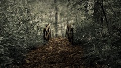 Landscapes nature Bridges forests Photo manipulation
