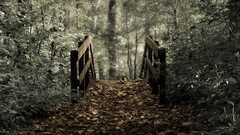 Landscapes nature Bridges forests Photo manipulation