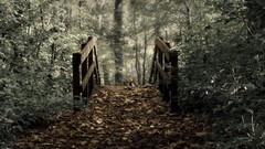 Landscapes nature Bridges forests Photo manipulation