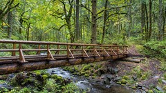Landscapes nature Bridges rivers forests