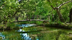 Landscapes nature Bridges streams forests