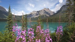 Landscapes nature British Columbia national park emerald