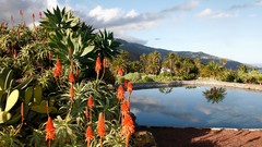 Landscapes nature cactus lakes