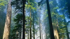 Landscapes nature California