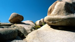 Landscapes nature California canvas joshua tree national park