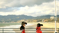 Landscapes nature California costume railing funny piers 