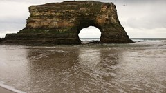 Landscapes nature California santa Bridges Beaches
