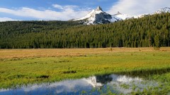 Landscapes nature California Yosemite National Park USA 