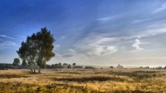 Landscapes nature canvas