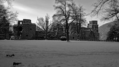 Landscapes nature Castles grayscale