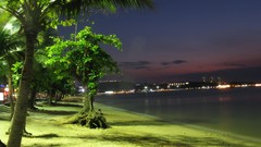 Landscapes nature City Lights palm trees skylines