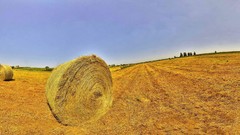 Landscapes nature cityscapes fisheye effect