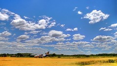 Landscapes nature clouds
