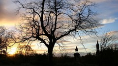 Landscapes nature clouds
