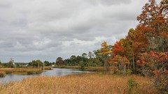 Landscapes nature clouds