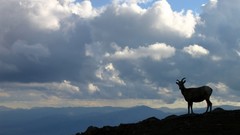 Landscapes nature clouds