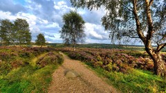 Landscapes nature clouds
