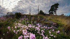 Landscapes nature clouds