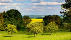 Landscapes nature clouds