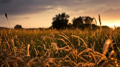 Landscapes nature clouds