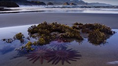 Landscapes nature clouds