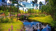 Landscapes nature clouds