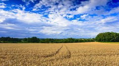 Landscapes nature clouds