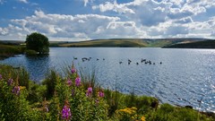 Landscapes nature clouds