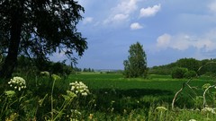 Landscapes nature clouds